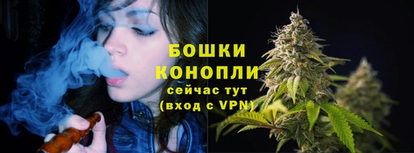 бошки Осинники