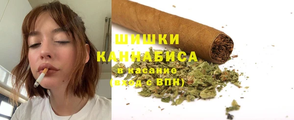 бошки Осинники