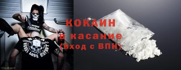 бошки Осинники