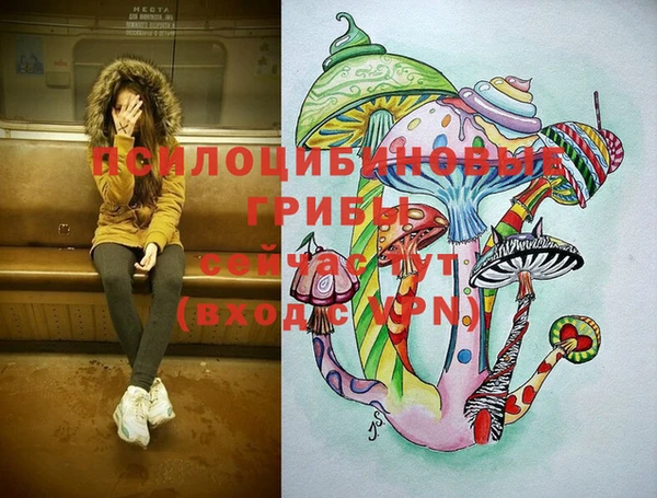 спайс Осташков
