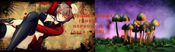 бошки Осинники