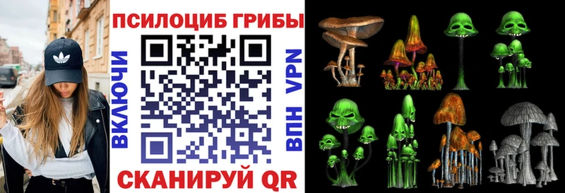 Псилоцибиновые грибы прущие грибы  где купить наркоту  Махачкала 