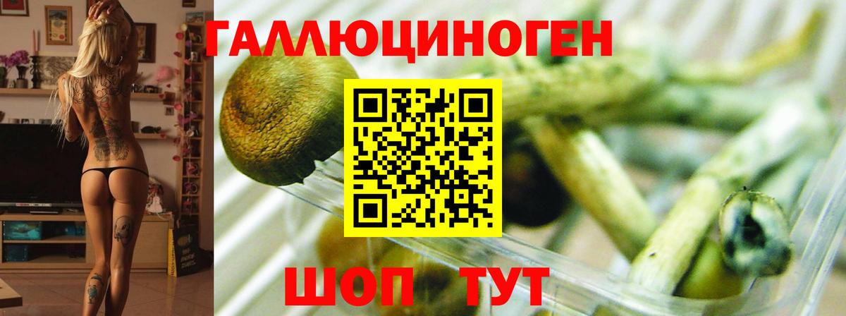 Галлюциногенные грибы ЛСД Махачкала
